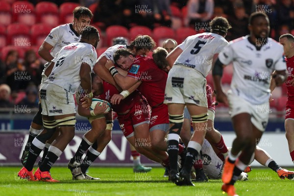 260424 - Scarlets v Hollywoodbets Sharks - United Rugby Championship - Sam Wainwright of Scarlets drives Kemsley Mathias toward the try line 