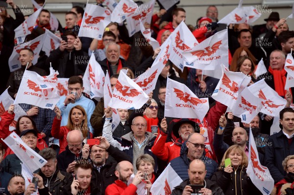300318 - Scarlets v La Rochelle - European Rugby Champions Cup - Scarlets fans