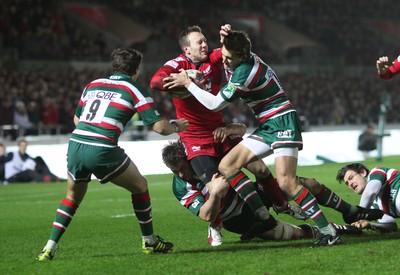 Scarlets v Leicester 150111