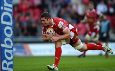 Scarlets v Leinster 060913