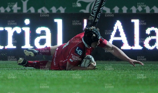 161015 - Scarlets v Leinster - Guinness PRO12 - James Davies of Scarlets scores a try