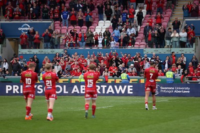 260425 - Scarlets v Leinster - United Rugby Championship - Scarlets thank the fans at full time