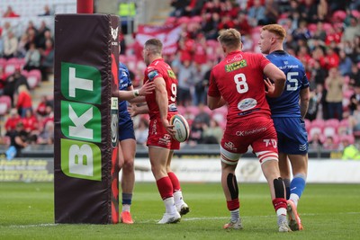 260425 - Scarlets v Leinster - United Rugby Championship - Gareth Davies of Scarlets turns away after scoring the first try of the game 