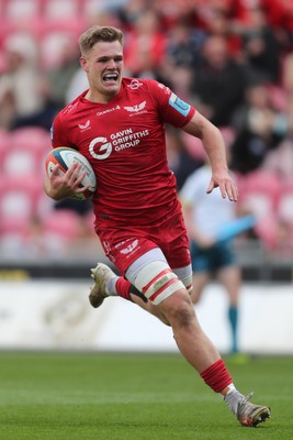 260425 - Scarlets v Leinster - United Rugby Championship - Taine Plumtree of Scarlets runs in to score a try