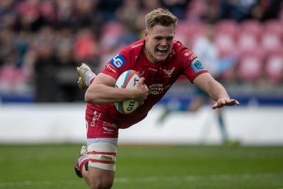 260425 - Scarlets v Leinster - United Rugby Championship - Taine Plumtree of Scarlets dives in to score  a try