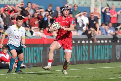 260425 - Scarlets v Leinster - United Rugby Championship - Tom Rogers of Scarlets looks for support