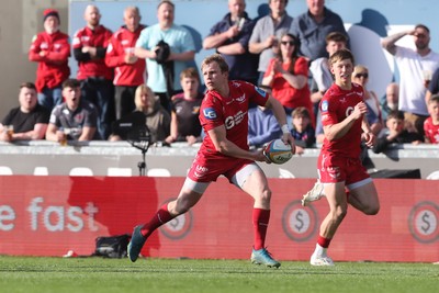 260425 - Scarlets v Leinster - United Rugby Championship - Blair Murray of Scarlets offloads for Joe Roberts try
