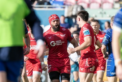 260425 - Scarlets v Leinster - United Rugby Championship - Scarlets Captain Josh Macleod celebrates Joe Roberts try