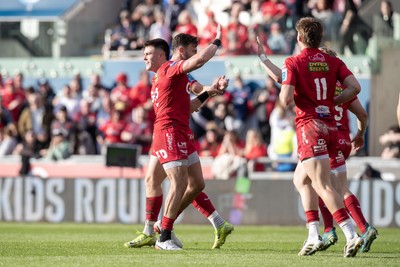 260425 - Scarlets v Leinster - United Rugby Championship - Scarlets celebrate Joe Roberts try