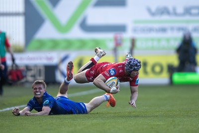 Scarlets v Leinster 260425