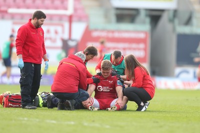 260425 - Scarlets v Leinster - United Rugby Championship - Taine Plumtree  of Scarlets receives treatment 