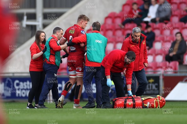 260425 - Scarlets v Leinster - United Rugby Championship - Taine Plumtree of Scarlets leaves the field injured