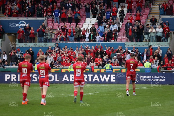 260425 - Scarlets v Leinster - United Rugby Championship - Scarlets thank the fans at full time