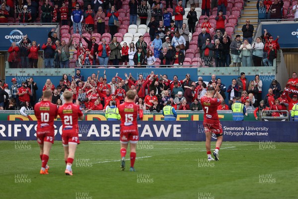 260425 - Scarlets v Leinster - United Rugby Championship - Scarlets thank the fans at full time