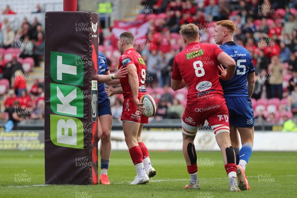 260425 - Scarlets v Leinster - United Rugby Championship - Gareth Davies of Scarlets turns away after scoring the first try of the game 