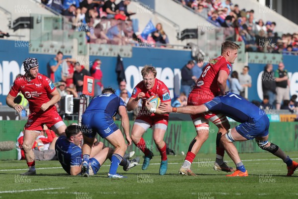 260425 - Scarlets v Leinster - United Rugby Championship - Blair Murray of Scarlets looks for a gap in the Leinster defence
