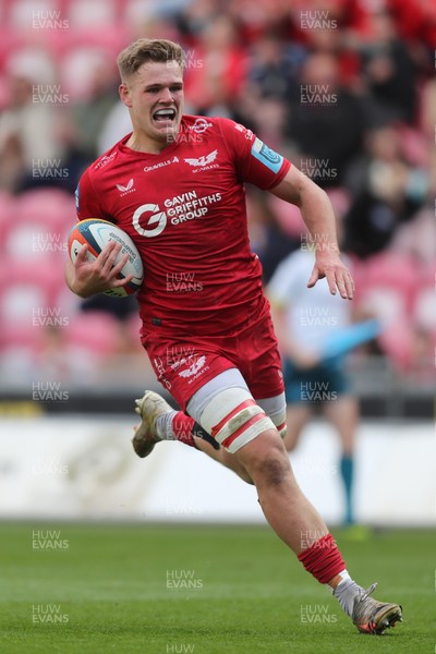 260425 - Scarlets v Leinster - United Rugby Championship - Taine Plumtree of Scarlets runs in to score a try