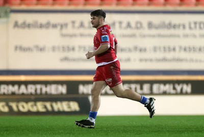 160224 - Scarlets v Munster - United Rugby Championship - Harry Thomas of Scarlets on his debut