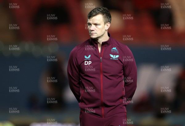 160224 - Scarlets v Munster - United Rugby Championship - Scarlets Head Coach Dwayne Peel 