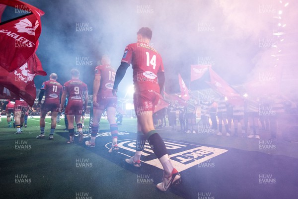 160224 - Scarlets v Munster - United Rugby Championship - Tomi Lewis of Scarlets walks out onto the pitch