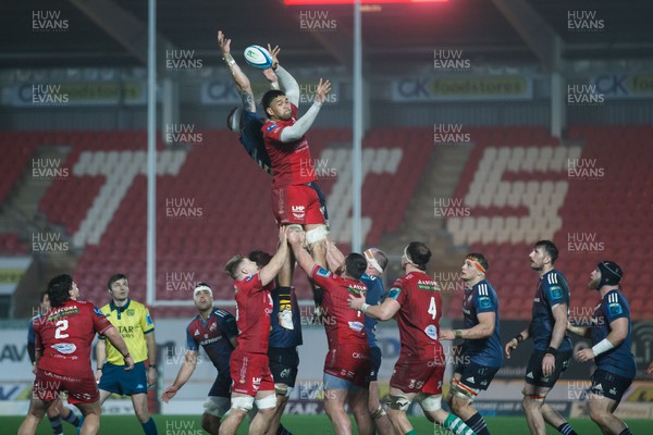160224 - Scarlets v Munster - United Rugby Championship - Vaea Fifita of Scarlets wins a lineout