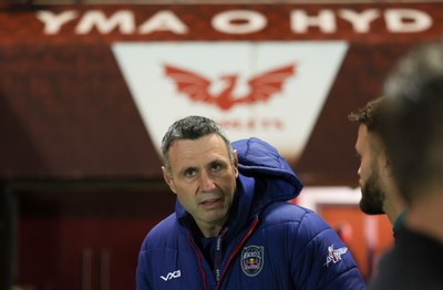 171026 Scarlets v Newcastle Red Bulls EPCR Challenge Cup - Newcastle Red Bulls assistant coach, and former Scarlets player, Stephen Jones ahead of the match