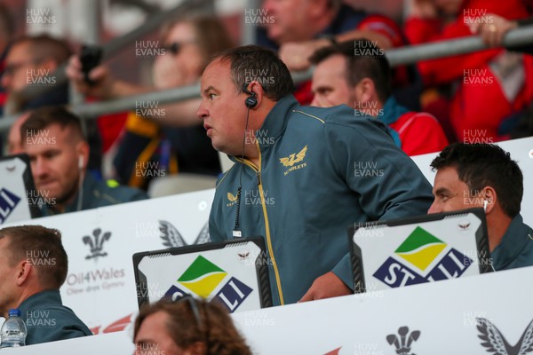 170922 - Scarlets v Ospreys - United Rugby Championship - Scarlets Coach Gareth Williams on his feet near the final whistle