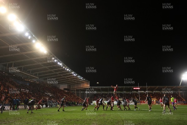 261225 - Scarlets v Ospreys - United Rugby Championship - Max Douglas of Scarlets wins the line out