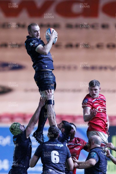 261225 - Scarlets v Ospreys - United Rugby Championship - Huw Sutton of Ospreys wins a lineout