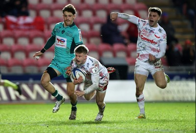 100126 - Scarlets v Section Paloise - Investec Champions Cup - Archie Hughes of Scarlets dives over the line to score a try