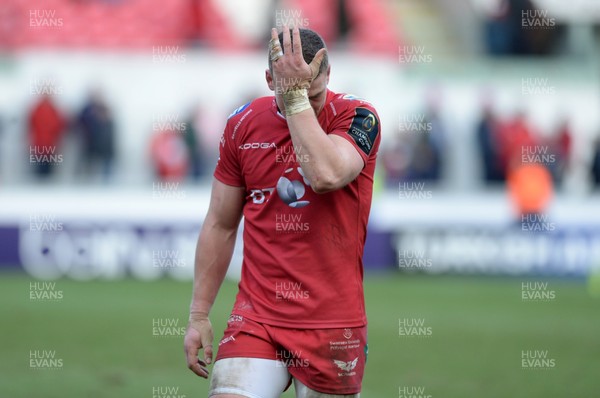 150117 Scarlets v Saracens - Champions Cup - A dejected Scott Williams of Scarlets at the final whistle  by Gwenno Davies/Huw Evans Agency