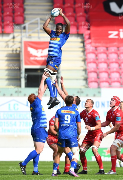 210522 - Scarlets v Stormers - United Rugby Championship - Hacjivah Dayimani of Stormers takes line out ball