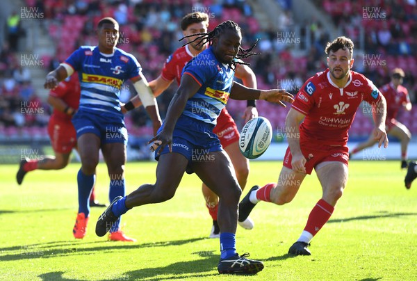 210522 - Scarlets v Stormers - United Rugby Championship - Seabelo Senatla of Stormers gets the ball away