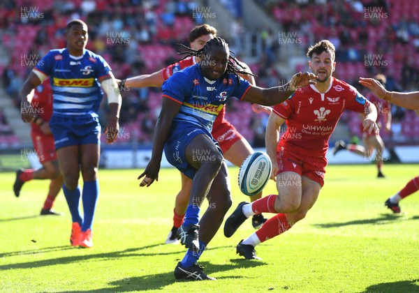210522 - Scarlets v Stormers - United Rugby Championship - Seabelo Senatla of Stormers gets the ball away