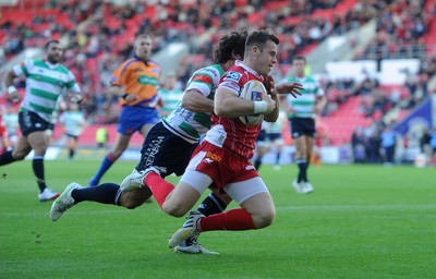 Scarlets v Treviso 140913