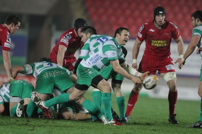 230212 Scarlets v TrevisoTreviso scrum half Simon Picone  feeds his backs