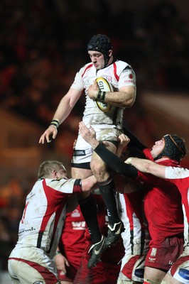 05.03.10 ... Scarlets v Ulster, Magners League -  Ulster's David Pollock takes lineout ball 