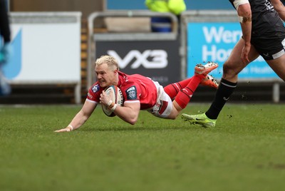 240126 - Scarlets v Ulster - United Rugby Championship - Blair Murray of Scarlets scores a try