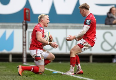 240126 - Scarlets v Ulster - United Rugby Championship - Blair Murray of Scarlets celebrates scoring a try
