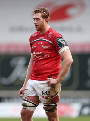 240126 - Scarlets v Ulster - United Rugby Championship - Harvey Cuckson of Scarlets 