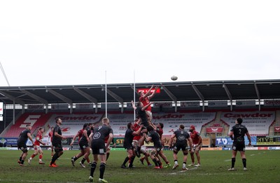 240126 - Scarlets v Ulster - United Rugby Championship - Harvey Cuckson of Scarlets wins the line out