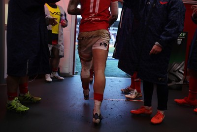 240126 - Scarlets v Ulster - United Rugby Championship - Players walk out the tunnel
