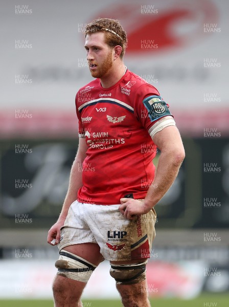 240126 - Scarlets v Ulster - United Rugby Championship - Harvey Cuckson of Scarlets 