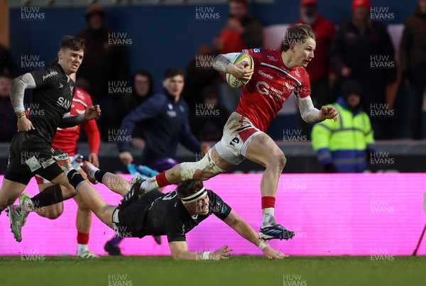 240126 - Scarlets v Ulster - United Rugby Championship - Ellis Mee of Scarlets runs in to score the game winning try in the last play of the game