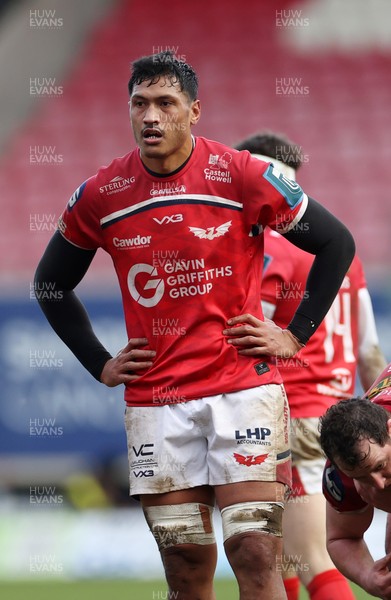 240126 - Scarlets v Ulster - United Rugby Championship - Sam Lousi of Scarlets 