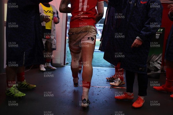 240126 - Scarlets v Ulster - United Rugby Championship - Players walk out the tunnel