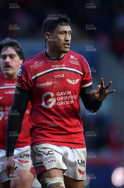 240126 - Scarlets v Ulster - United Rugby Championship - Sam Lousi of Scarlets 