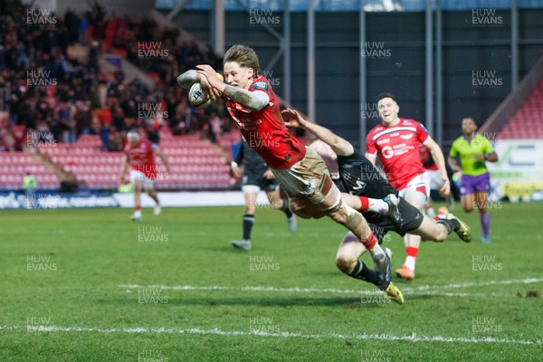 240126 - Scarlets v Ulster - United Rugby Championship - Ellis Mee of Scarlets scores the winning try