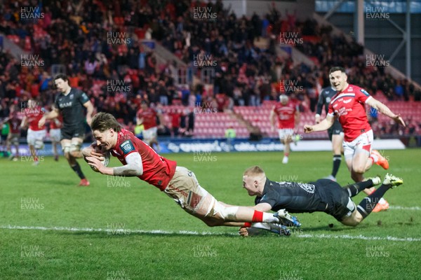 240126 - Scarlets v Ulster - United Rugby Championship - Ellis Mee of Scarlets scores the winning try