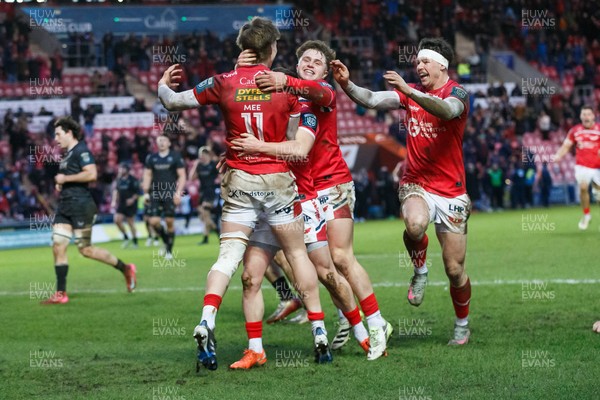 240126 - Scarlets v Ulster - United Rugby Championship - Ellis Mee of Scarlets celebrates after scoring the winning try